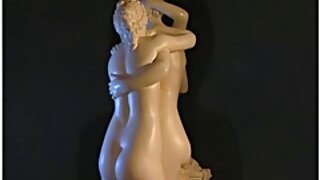 Introdus în fund