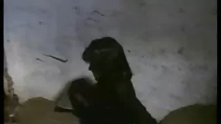 Odată ce sex cu femei paroase sexul pe camera și fundul poate înlocui
