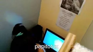 Skinn Asiatice Asiatice Gagica duce la poze femei paroase orgasm