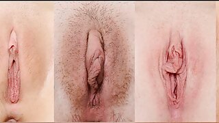 Sex în țară